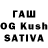 Галлюциногенные грибы MAGIC MUSHROOMS Kalinin_S