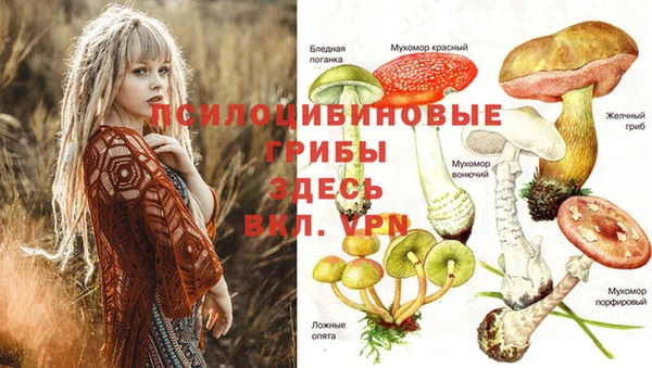 трава Нягань