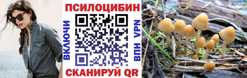 Псилоцибиновые грибы Psilocybe  mega ТОР  Нижние Серги  где можно купить  